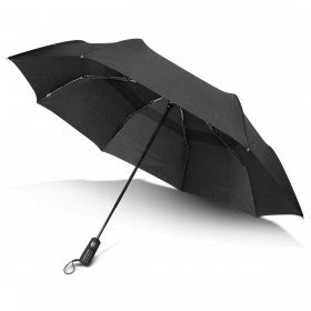 Director Umbrellas